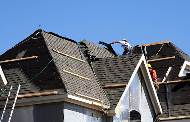 Professional Roofing Contractor in Gasport, NY